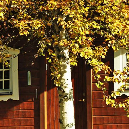 Cottage On Wild River In Lapland/Sweden Karlsten Exterior photo