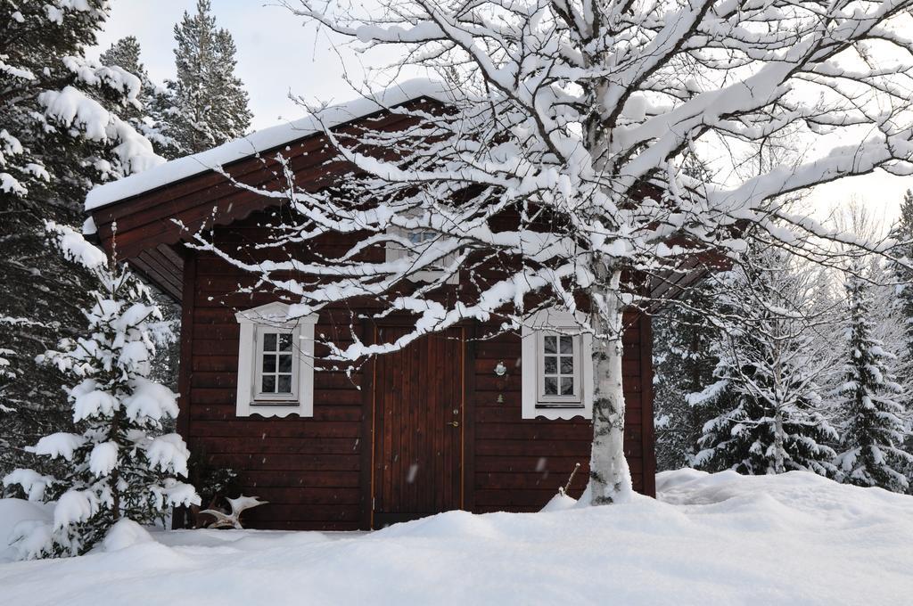 Cottage On Wild River In Lapland/Sweden Karlsten Room photo