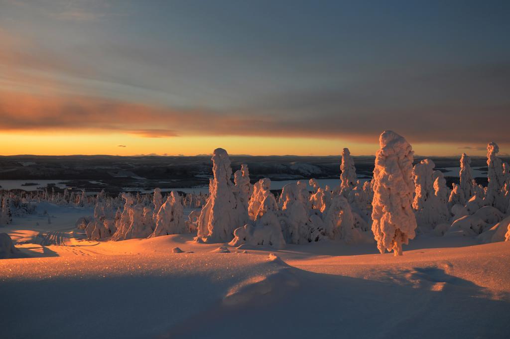 Cottage On Wild River In Lapland/Sweden Karlsten Room photo